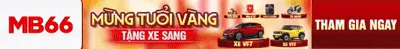 Biểu tượng chính sách chống lạm dụng khuyến mãi của VIP 66